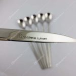 قاشق شربت خوری رزنتال مدل 271